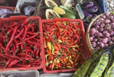 Kenaikan Harga Pangan Kamis, Cabai Keriting Tembus Rp50.000 per Kg