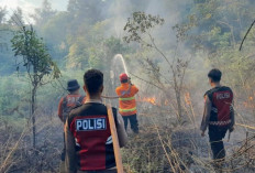 BMKG Ajak Masyarakat Waspada Karhutla Seiring Banyaknya Titik Panas