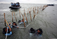 KLH Pastikan Pagar Laut di Tangerang Tidak Memiliki Dokumen Lingkungan dan Masuk Kategori Ilegal