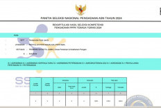 Pemkot Jambi Umumkan Hasil Seleksi PPPK Tenaga Teknis 2024, Lihat Disini Linknya