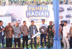 BRI Cabang Rimbo Bujang Gelar Penarikan Undian Panen Hadiah SIMPEDES