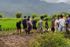  Warga Temukan Mayat Dekat Danau Kerinci 