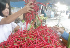 Harga Cabai Merah Melonjak Hingga Rp41.000 per Kg, Pangan Lain Ikut Naik