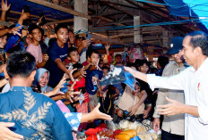 Sambangi Beberapa Pasar di Jambi, Jokowi: Harga Pangan Stabil