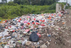 Tumpukan Sampah di Penyengat Rendah, Telanaipura Terkesan Kawasan Kumuh
