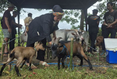 Tak Hanya Merayakan Tradisi, Tetapi Juga Menyampaikan Pesan 