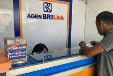 Dekatkan Layanan Perbankan, Agen BRILink Dongkrak Inklusi Keuangan di Desa