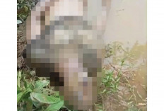 Warga Telanaipura Temukan Mayat Tanpa Identitas di Sungai Batanghari 