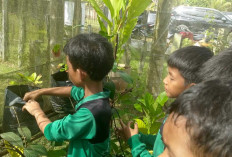 SDN 67 Muara Sekalo Ciptakan Hutan Sekolah untuk Lestarikan Tanaman Endemik Lokal