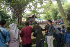 Destinasi Favorit Libur Lebaran, Taman Rimba Jambi Dikunjung 19 Ribu Orang