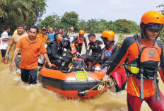 Nekat Berenang di Lokasi Banjir, Warga Tembesi Tewas Terbawa Arus Sungai Batanghari