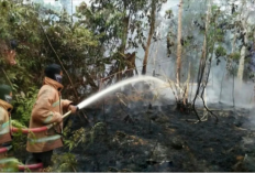 Tangani 99 Kasus Kabakaran, Damkar Batanghari Akui Total Keurigian Capai Rp1,8 Miliar