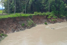 Sungai Batang Merap Terus  Abrasi,  Warga Minta Normalisasi Sungai 