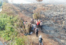 Sejak Januari Hingga Juli, Lahan Terbakar Capai 115 Hektar 