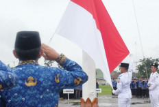 Wabup Junaidi Jadi Irup Peringatan HKN 