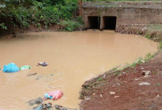 Sungai Senikat di Jujuhan Tercemar Akibat Aktivitas PETI