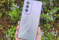 OPPO Reno12 Pro 5G, Ponsel Ideal untuk Pengguna Aktif dan Produktif