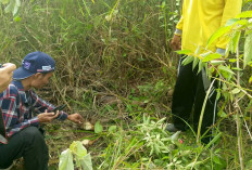 Konflik Manusia dan Gajah di Bentang Alam Bukit Tigapuluh, Mencari Solusi Melalui Tata Ruang dan Konservasi