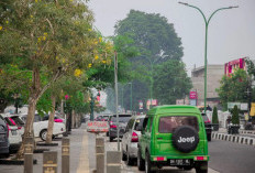 Tebang 1 Pohon, Ganti 100 Bibit Pohon