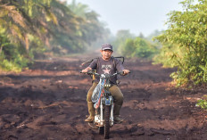 Pantau Desa Gambut Jaya, Menteri LH Tegaskan Penegakan Hukum Karhutla, Empat Tersangka Sudah Diamankan