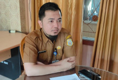 2.093 Non ASN di Tanjabtim Akan Diangkat Sebagai PPPK Paruh Waktu, Pengisian DRH hingga 22 Septemtember