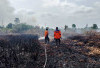  Kebakaran Lahan Gambut Makin Luas