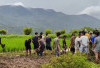 Warga Temukan Mayat di Area Persawahan Dekat Danau Kerinci